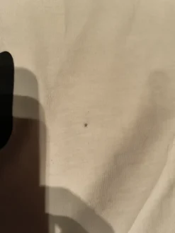 Fb sister Looney tunes t-paita