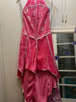 Ihana keijumekko, upeilla siivillä 🩷