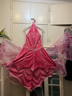 Ihana keijumekko, upeilla siivillä 🩷