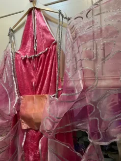 Ihana keijumekko, upeilla siivillä 🩷