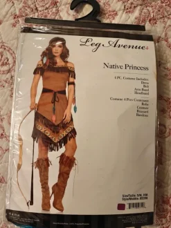 Intiaani naamiaisasu