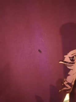 Jack & Jones huppari M