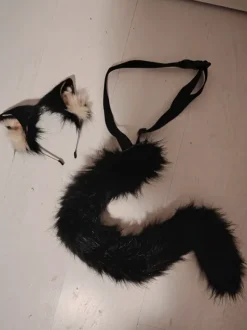 Kissan häntä ja korvat