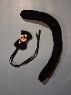 Kissan häntä ja -kulkunen