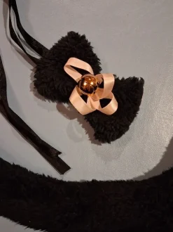 Kissan häntä ja -kulkunen