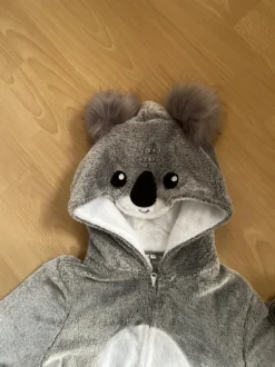 Kostume koala bjørn