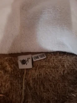 Laiskiais naamiaisasu