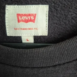Levi's college