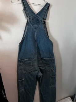 Levis lappuhaalari
