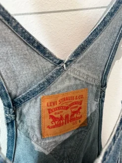 Levis lappuhaalari