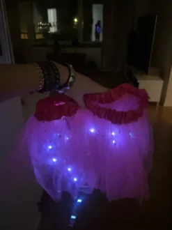 Light up fairy set