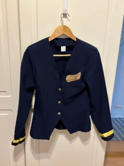 Naamiaisasu lentoemo