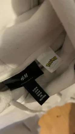 Pokemon hoodie, print on the back