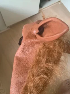 Sjov heste mask meme til halloween eller fest