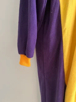 Spyro onesie