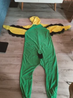 Stój papużki falistej