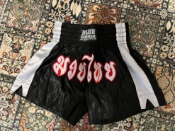 Thainyrkkeilyshortsit