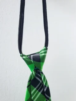 Vihreä kravatti ja j-rock pinssi